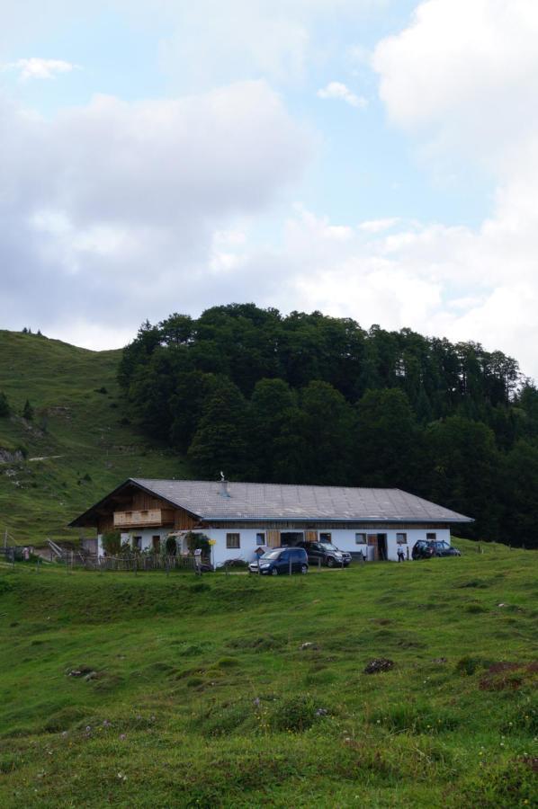Bed and Breakfast Schneiderbauer Вайдринг Екстер'єр фото